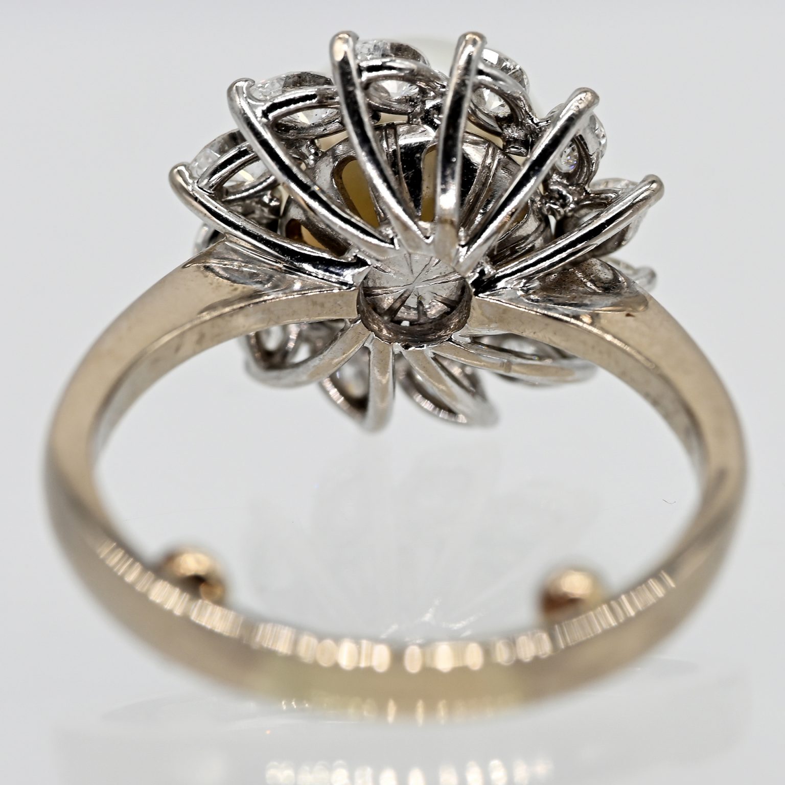 Fotos für Onlinekatalog zur 99. Auktion am  08.03.2026