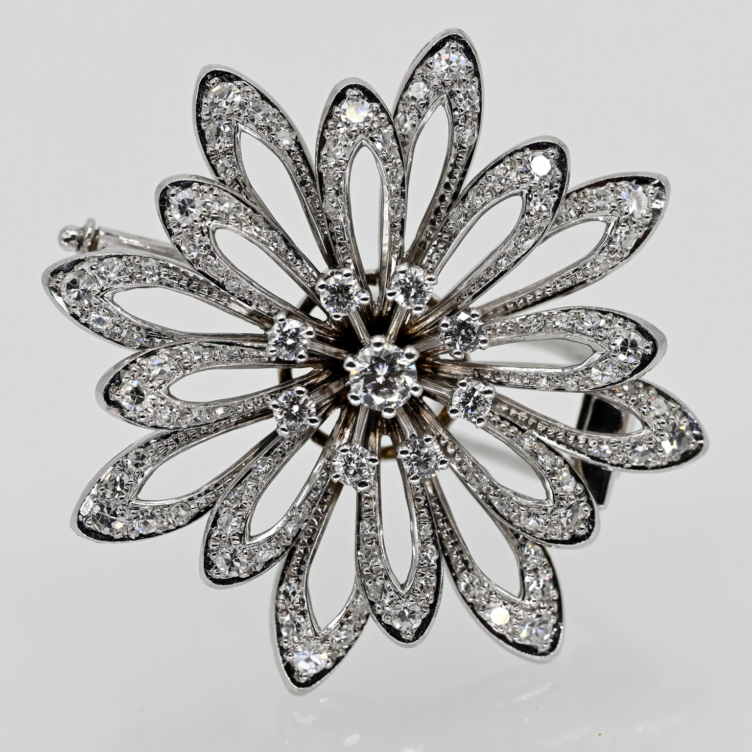 Fotos für Onlinekatalog zur 99. Auktion am  08.03.2026