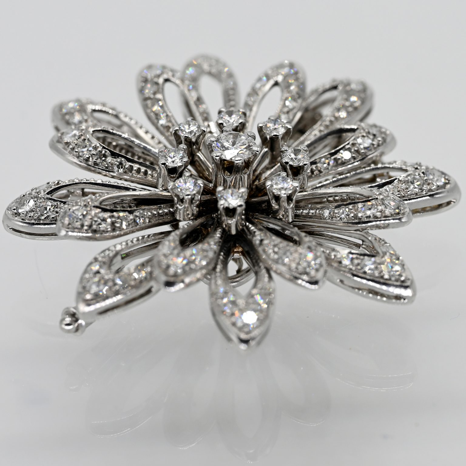 Fotos für Onlinekatalog zur 99. Auktion am  08.03.2026