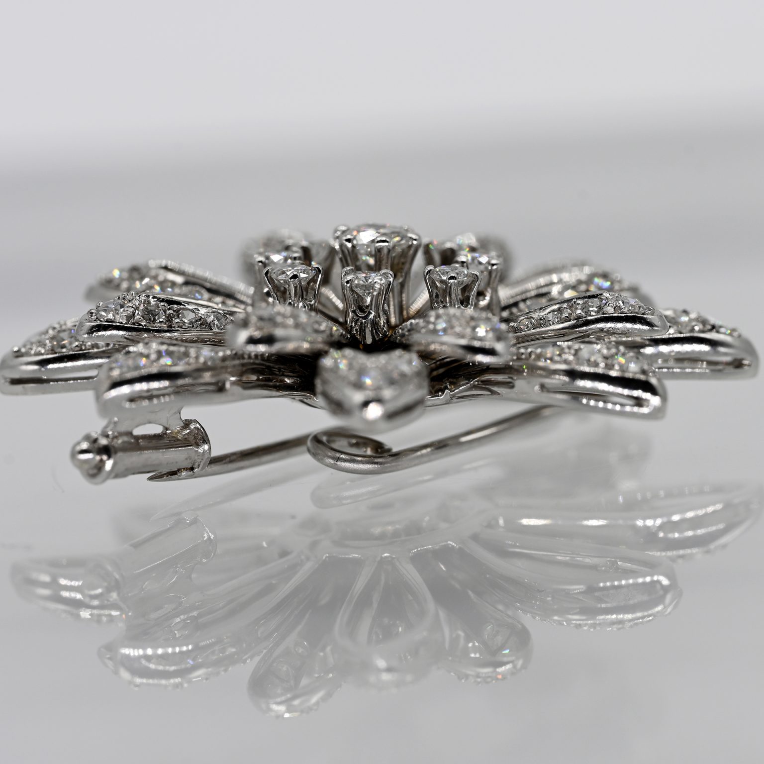 Fotos für Onlinekatalog zur 99. Auktion am  08.03.2026