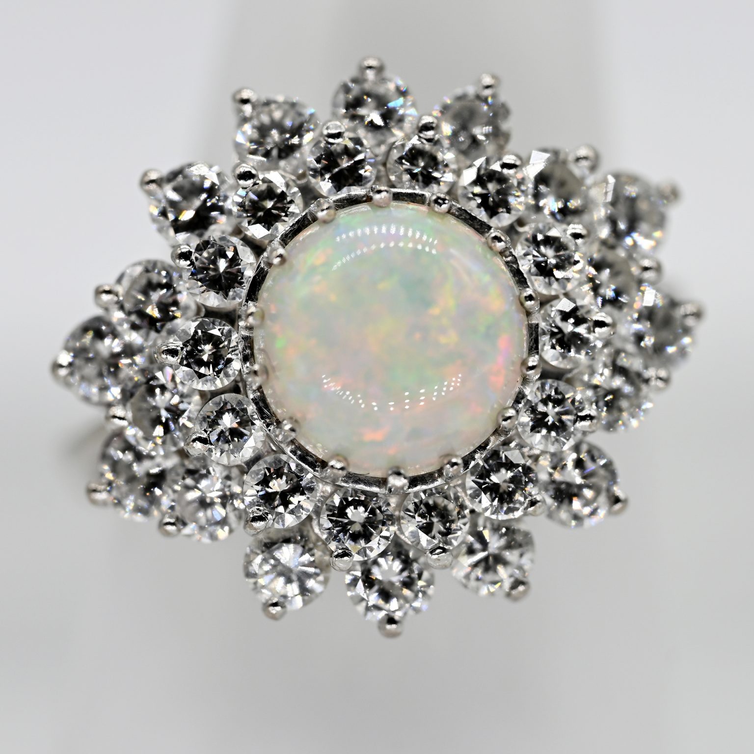 Fotos für Onlinekatalog zur 99. Auktion am 08.03.2026