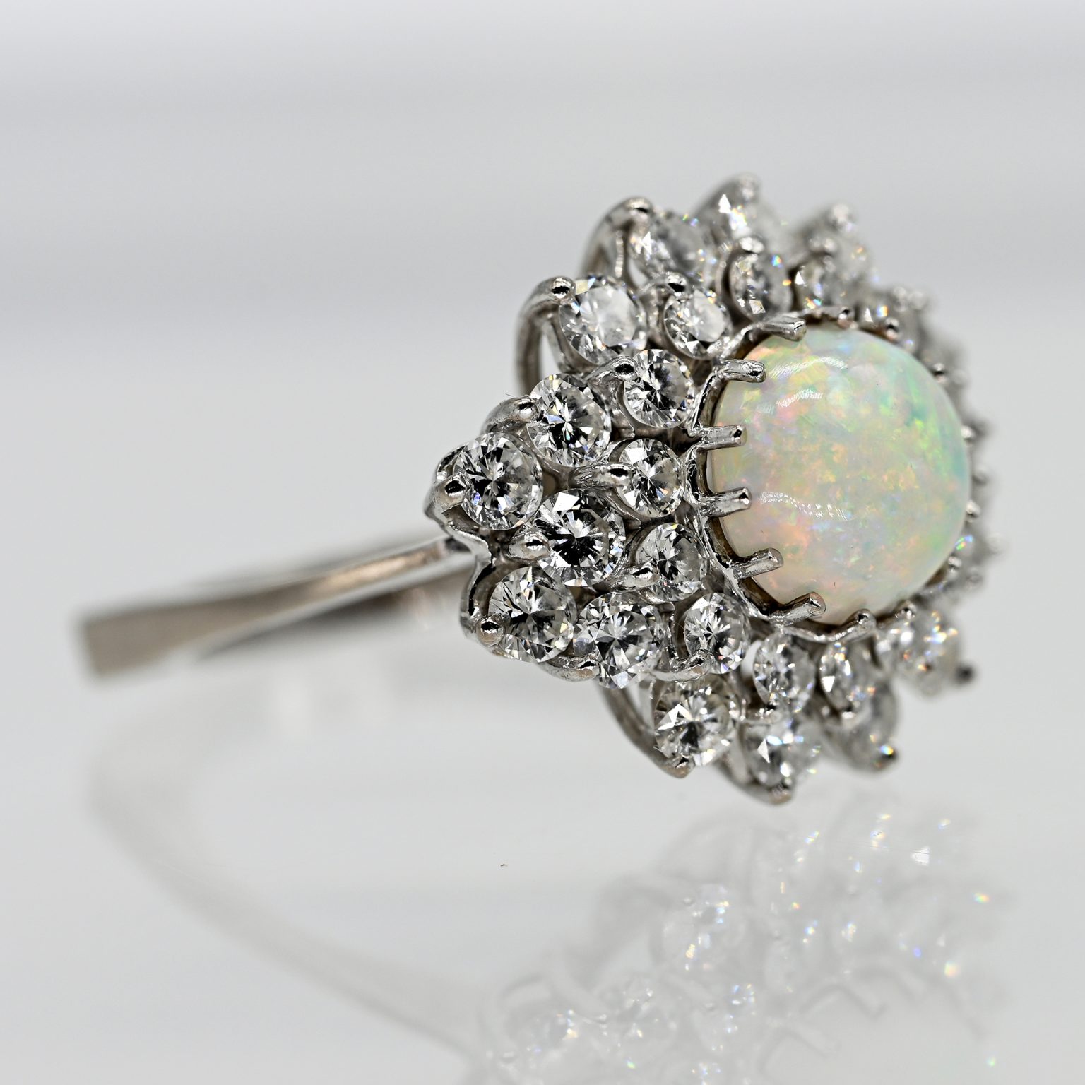 Fotos für Onlinekatalog zur 99. Auktion am 08.03.2026