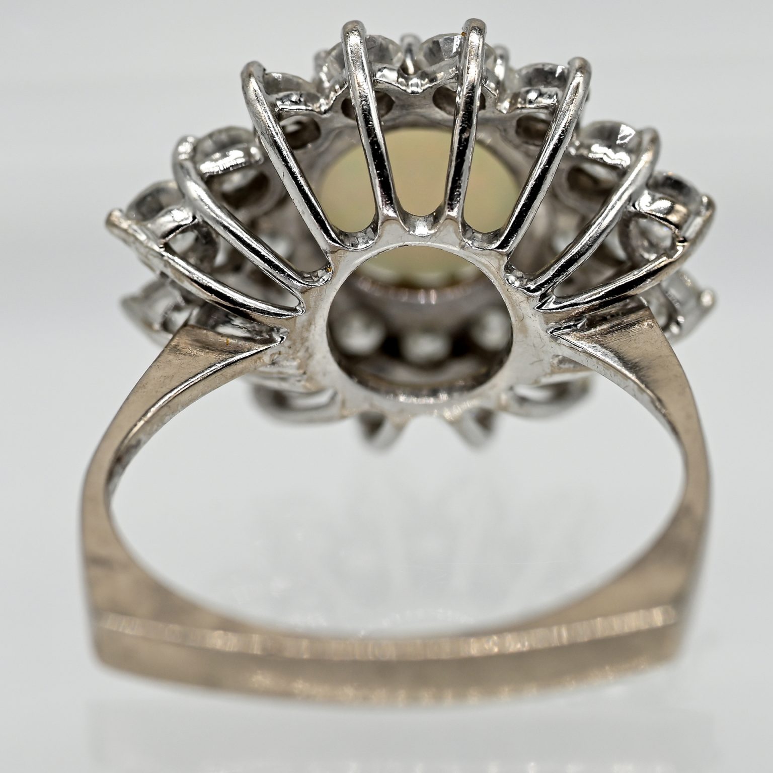 Fotos für Onlinekatalog zur 99. Auktion am 08.03.2026