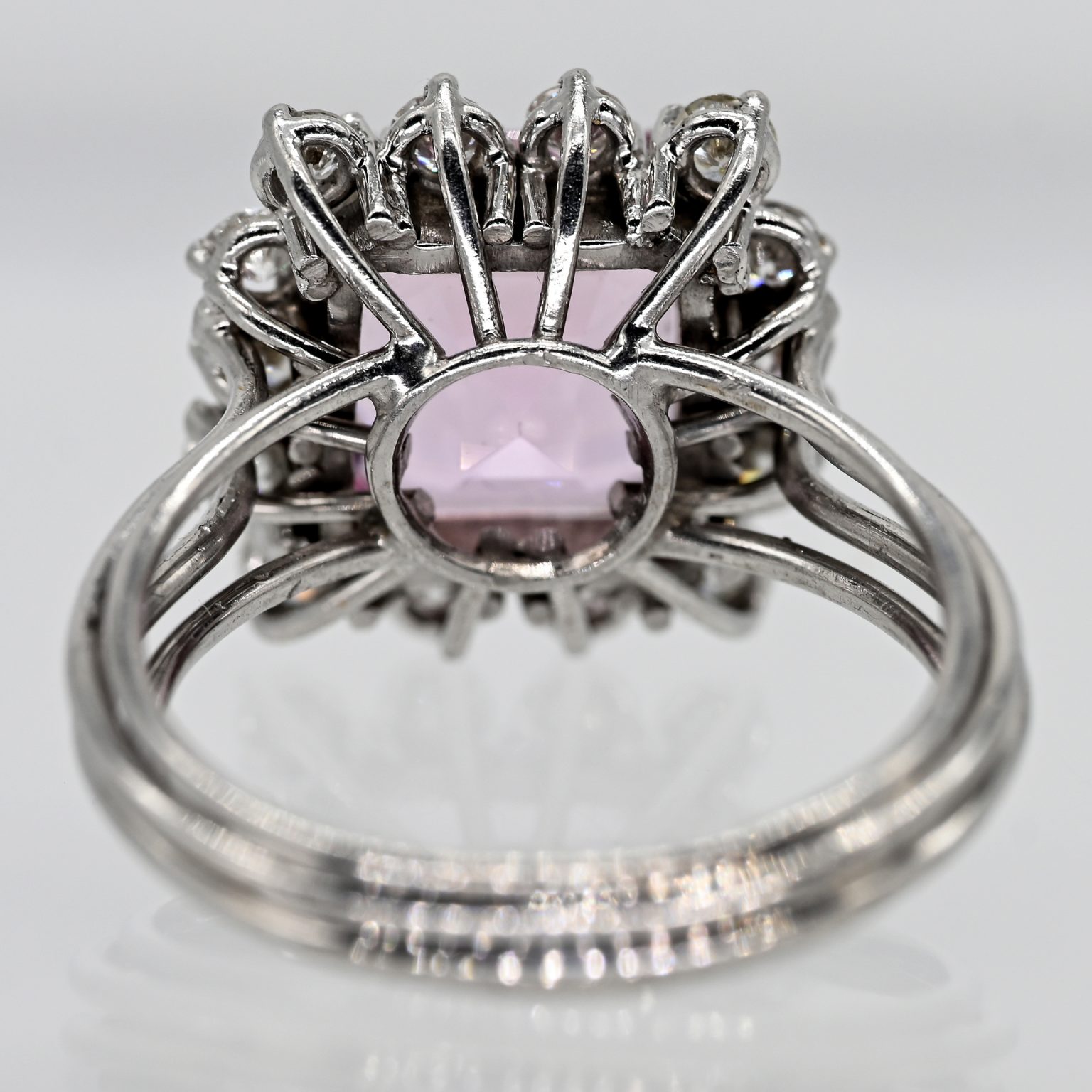 Fotos für Onlinekatalog zur 99. Auktion am  08.03.2026