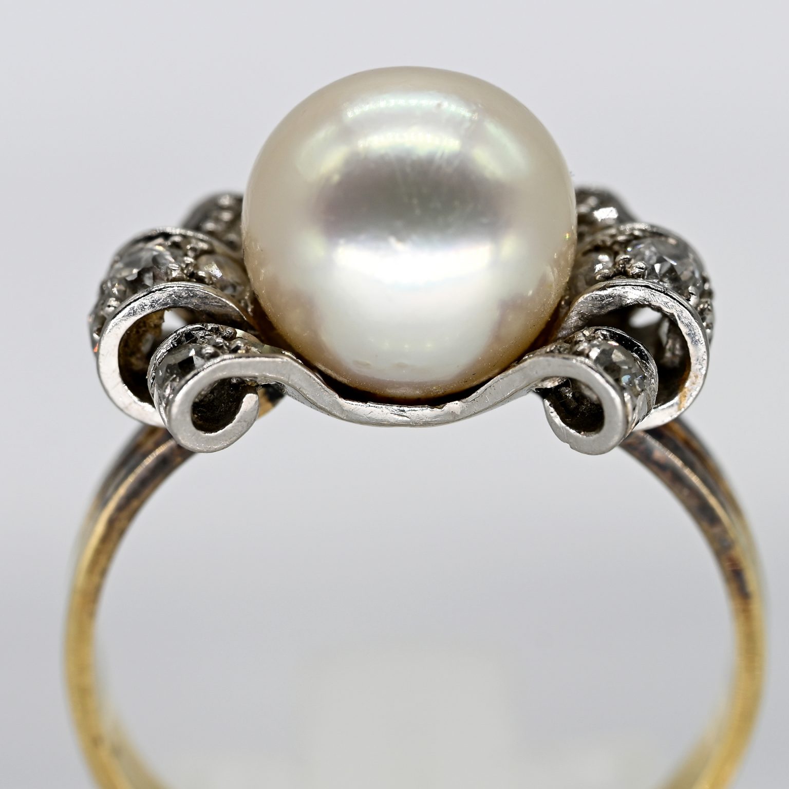 Fotos für Onlinekatalog zur 99. Auktion am  08.03.2026