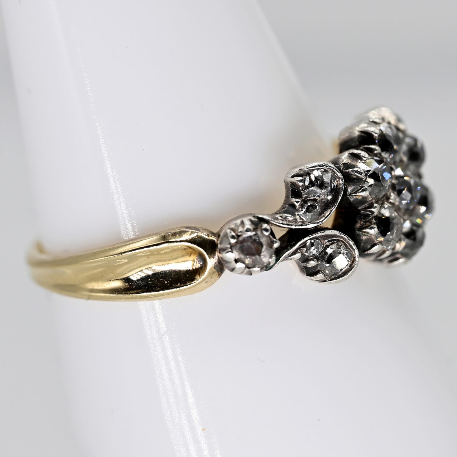 Fotos für Onlinekatalog zur 99. Auktion am  08.03.2026